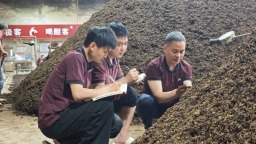 贵州仁怀：“师带徒”培育模式已累计培养酱酒专业技术人才超1万名