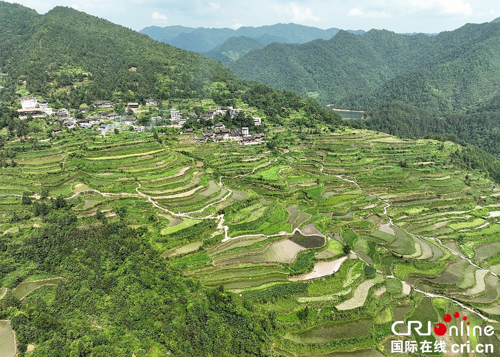 贵州凯里：藏在大山之间的营盘梯田_fororder_图片1