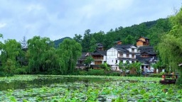 贵阳市乌当区：实干笃行践初心  精治善治促发展