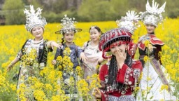 龙宫龙田春韵浓 龙马画境醉花田——2026龙宫春季赏花摄影系列活动集中采风正式开启