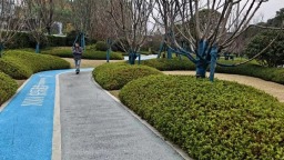 数量全省第一！贵阳230个口袋公园让“千园之城” 添新景