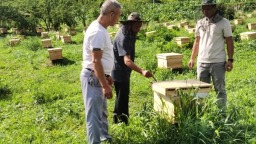 铜仁市思南县瓮溪镇胜利村驻村第一书记任端阳：“新”驻村帮扶路上的“老人”