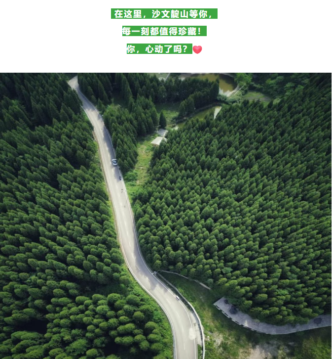 现在出发！避暑就来贵阳：【一村一景】靛山村（下）：森林美食、文化韵律、探险乐园