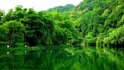 “五一”旅游预订热度攀升，贵阳、荔波跻身全国热门旅行目的地