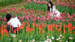 贵州：一路“繁花”是景色 一路“繁华”是日子