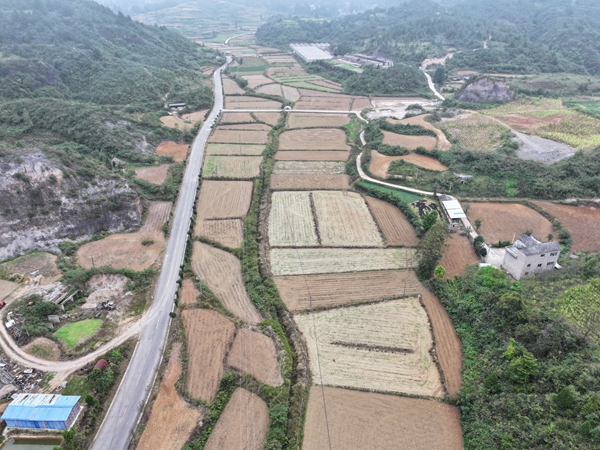 贵州镇远江古镇：秋冬忙耕种 油菜铺就农户“致富路”_fororder_微信图片_20251014205039_2027_193