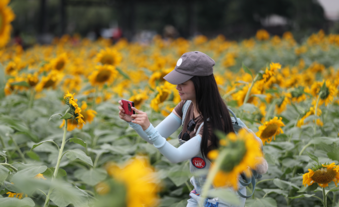 现在出发！避暑就来贵阳：一村一景：灯相约 花为媒 去蓬莱搭乘“四季列车”