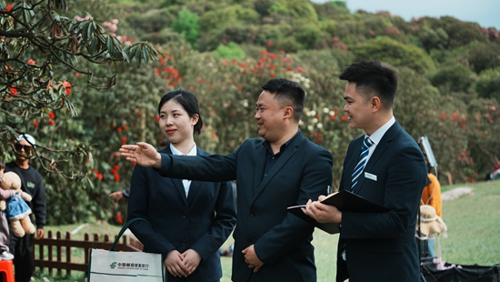 “邮”笔绘就文旅画卷 黔地山水浸染金融新色_fororder_百里杜鹃 (1).JPG