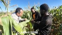 深耕“一带一路”农技合作 贵大科研团队赴赞比亚开展虫害绿色防控合作