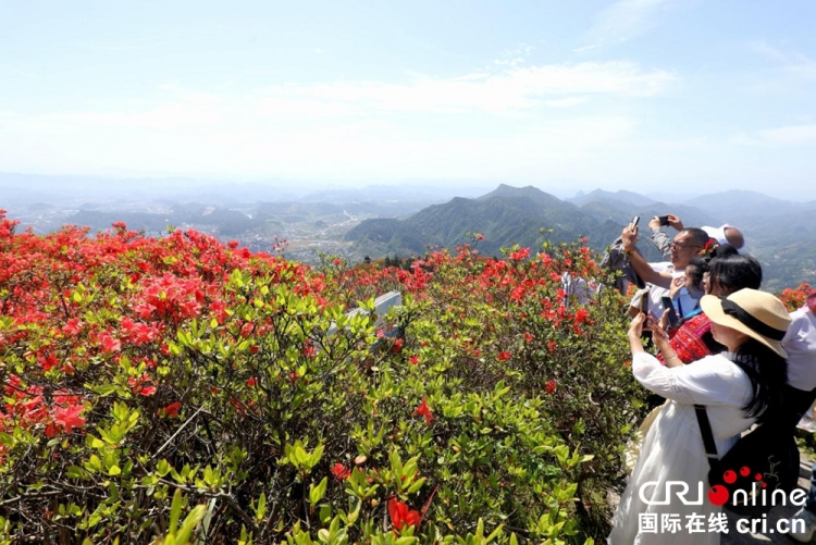 贵州丹寨：万亩杜鹃花海引客来_fororder_图片2