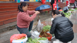贵州盘州：春菜争“鲜”上市 舌尖品尝“春意”