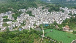“凉资源”激活“热经济”  贵州黄果树旅游区举行龙宫避暑旅居民宿推介会