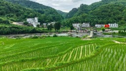贵州修文龙场街道：立查立改解决群众“饮水难”