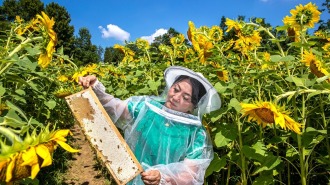 贵州黔西：花开蜜飘香 特种养殖助农增收