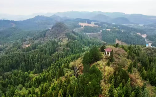 现在出发！避暑就来贵阳：【一村一景】靛山村（上）：春日秘境 到暮光森林·邂逅你的 “阿勒泰”