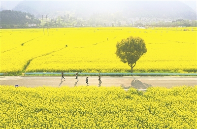 同心共绘幸福画卷 ——写在黔南布依族苗族自治州成立69周年之际