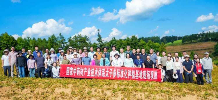国家中药材产业技术体系太子参单品种攻关工作会议在贵州施秉举办_fororder_55