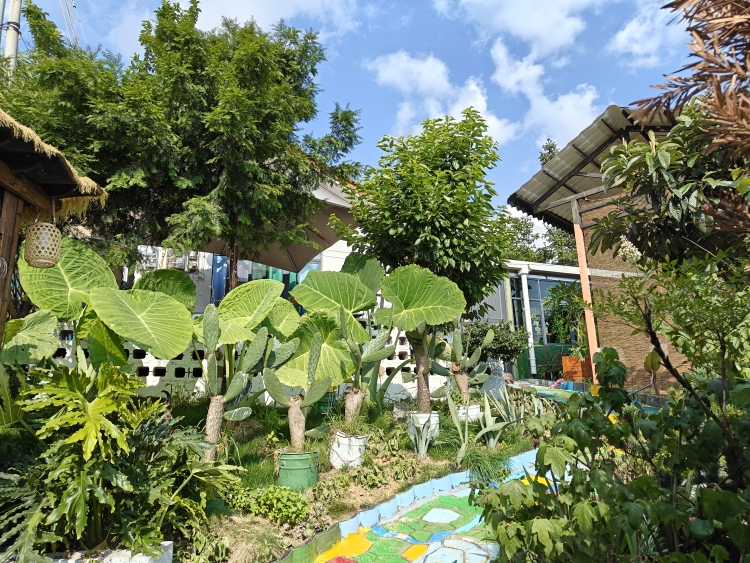 “花漾高峰”让贵安“花期经济”四季常青