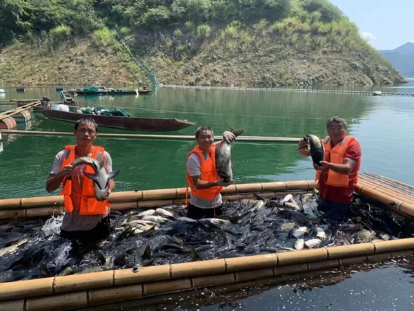 贵州罗甸凤亭乡：生态渔业铺就富民振兴路_fororder_捕捞渔获
