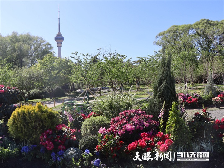 花绽京华 茶韵流芳，贵州在京奏响文化“三重奏”