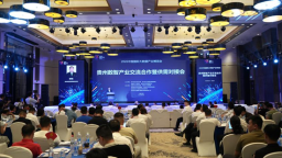 2026数博会 | 聚力数智新赛道 贵州数智产业交流合作暨供需对接会在贵阳举办