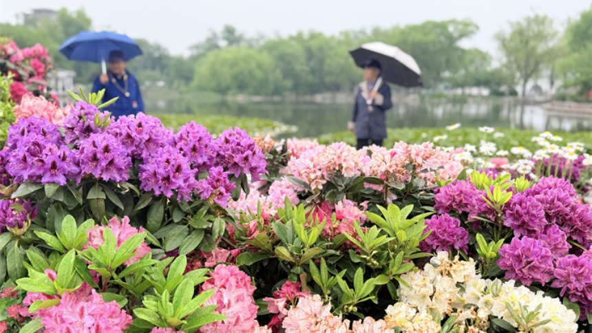 花绽京华 茶韵流芳，贵州在京奏响文化“三重奏”