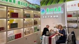 贵州绿茶展团燃爆2025深圳茶博会