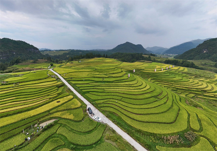 9月13&mdash;14日，黔南州龙里县湾滩河镇将举办稻田美食音乐节！