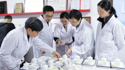 金奖茶揭晓！2026年贵州早春茶斗茶赛审评活动在贵阳举行