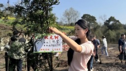 贵州赤水：拒绝“人情债”  厚植“文明林”