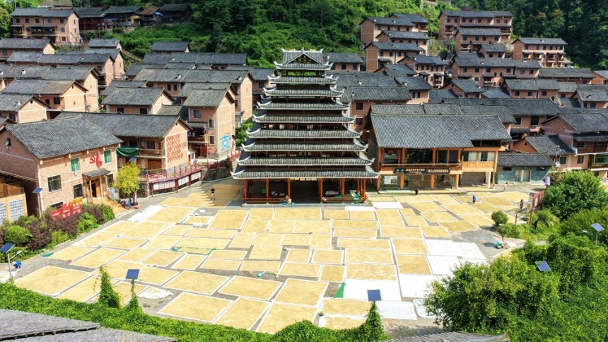 贵州镇远报京侗寨晒秋图景正美