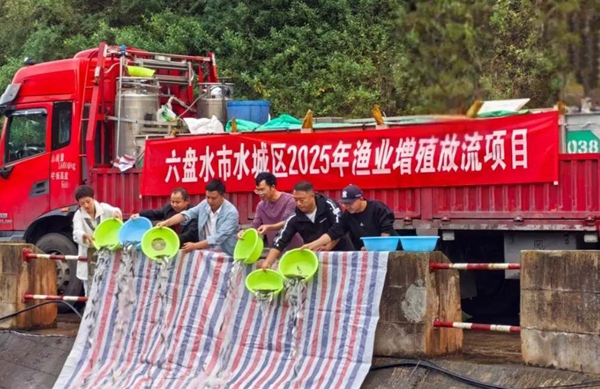 贵州水城：60多万尾优质鱼种“安家”雨汪河水库 助力生态治理与渔业发展_fororder_2_副本