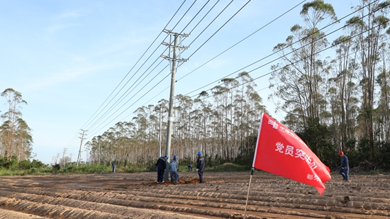 千里驰援抗台风 贵州长顺供电局奋战广东湛江助万余户复电_fororder_党员突击队正在开挖电杆洞.JPG