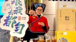 “都匀毛尖”品牌盛会“放大招” 邀您共赴茶旅盛宴