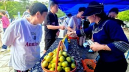 六盘水市六枝特区月亮河蜂糖李进城“赶集”  市民品鉴下单忙