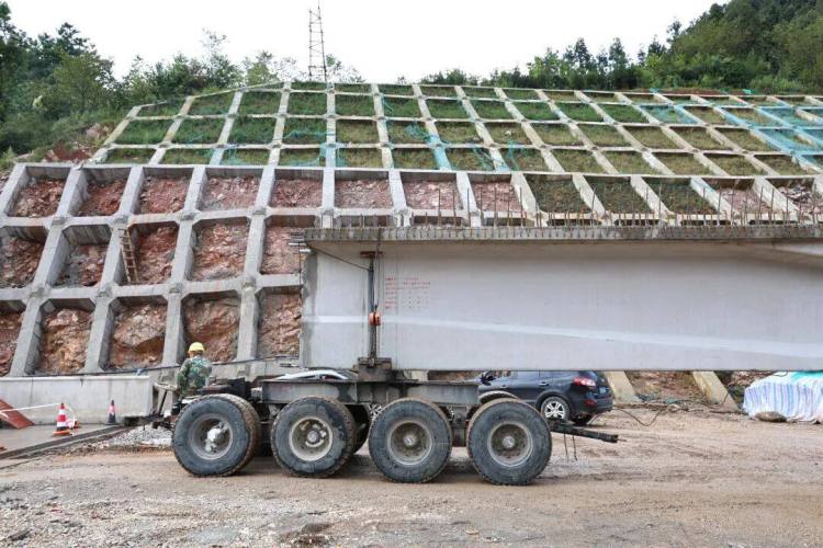 来自安盘高速建设工地的报道丨巨龙穿越“花木树”