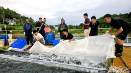 铜仁市碧江区：技术赋能水产养殖 “揭榜挂帅”项目迎测产