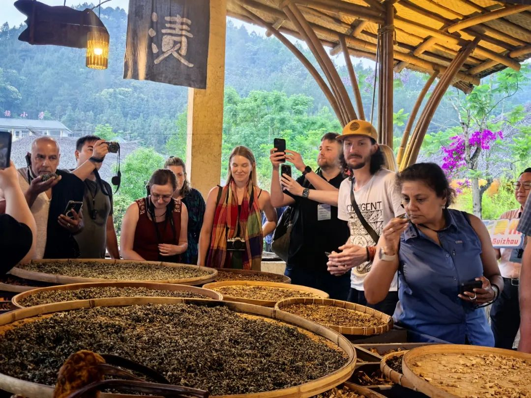 欧洲四国旅行商探访“原始社会活化石”瑶山古寨_fororder_2