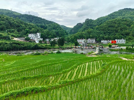 贵州修文龙场街道：立查立改解决群众“饮水难”_fororder_07623ae1859e495e98d17e38e734f41e_s