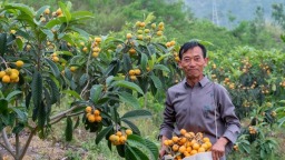 贵州罗甸：发展特色果业 助力群众增收