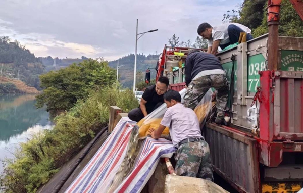 贵州水城：60多万尾优质鱼种“安家”雨汪河水库 助力生态治理与渔业发展_fororder_4_副本
