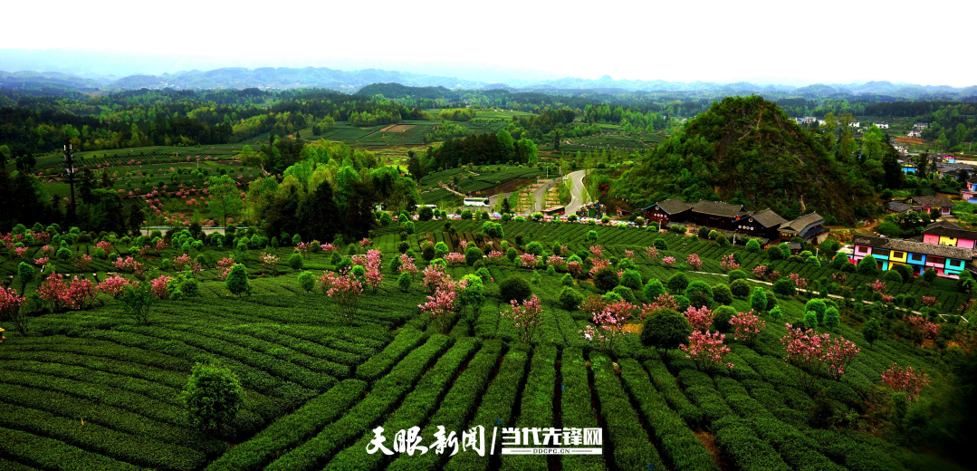 美丽贵州：以先行之姿绘山河画卷