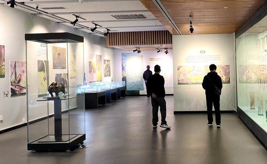 “山水新颜——贵州省国土空间生态保护修复成效展”在贵州省地质博物馆开展_fororder_游客们自由参观贵州省国土空间生态保护修复成效展
