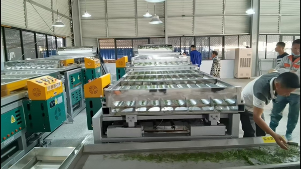 贵州惠水：东西部协作跨山海 科技赋能种出“富硒茶”_fororder_现代化生产车间