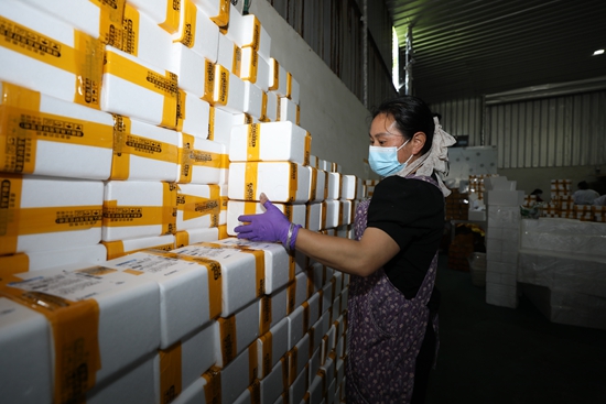 邮储银行护航六龙豆干香飘全国_fororder_图4 (1).JPG