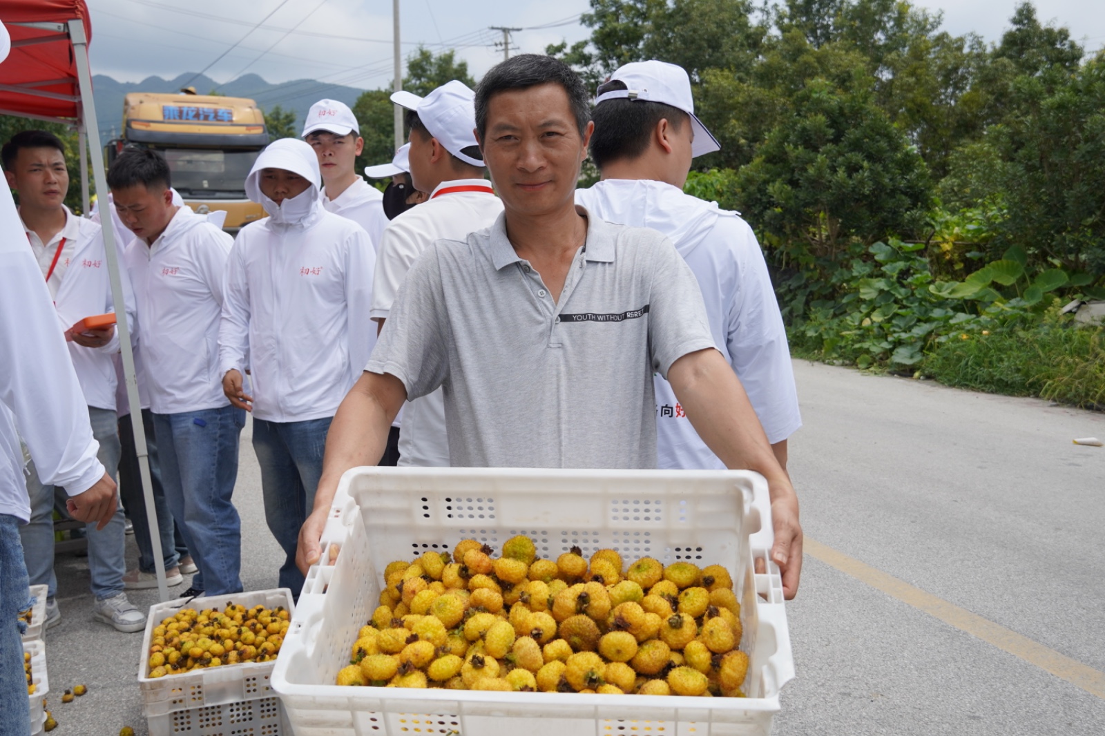 刺梨归仓 又见初好 | 水城区2025刺梨鲜果收购工作正式启动