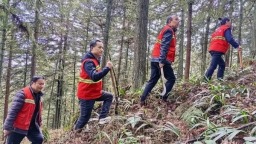 贵州仁怀：向绿而行 以绿生金