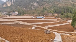 贵州仁怀：冬修农田正当时 5万余亩“粮田”变身“良田”