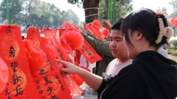 新春新气象 | 贵州惠水文联：丰富文艺套餐送福润民心