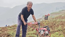 贵州仁怀全面启动36万亩高粱育苗播种工作